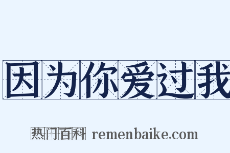 因为你爱过我是什么意思的图片